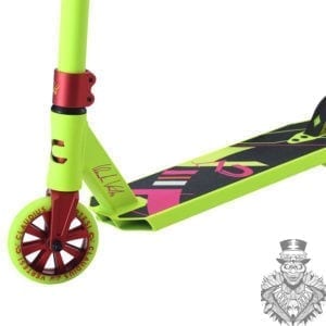 claudius vertesi neon yellow